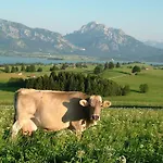 Appartamento Ferienwohnung-schlossberg-mit-bergblick *